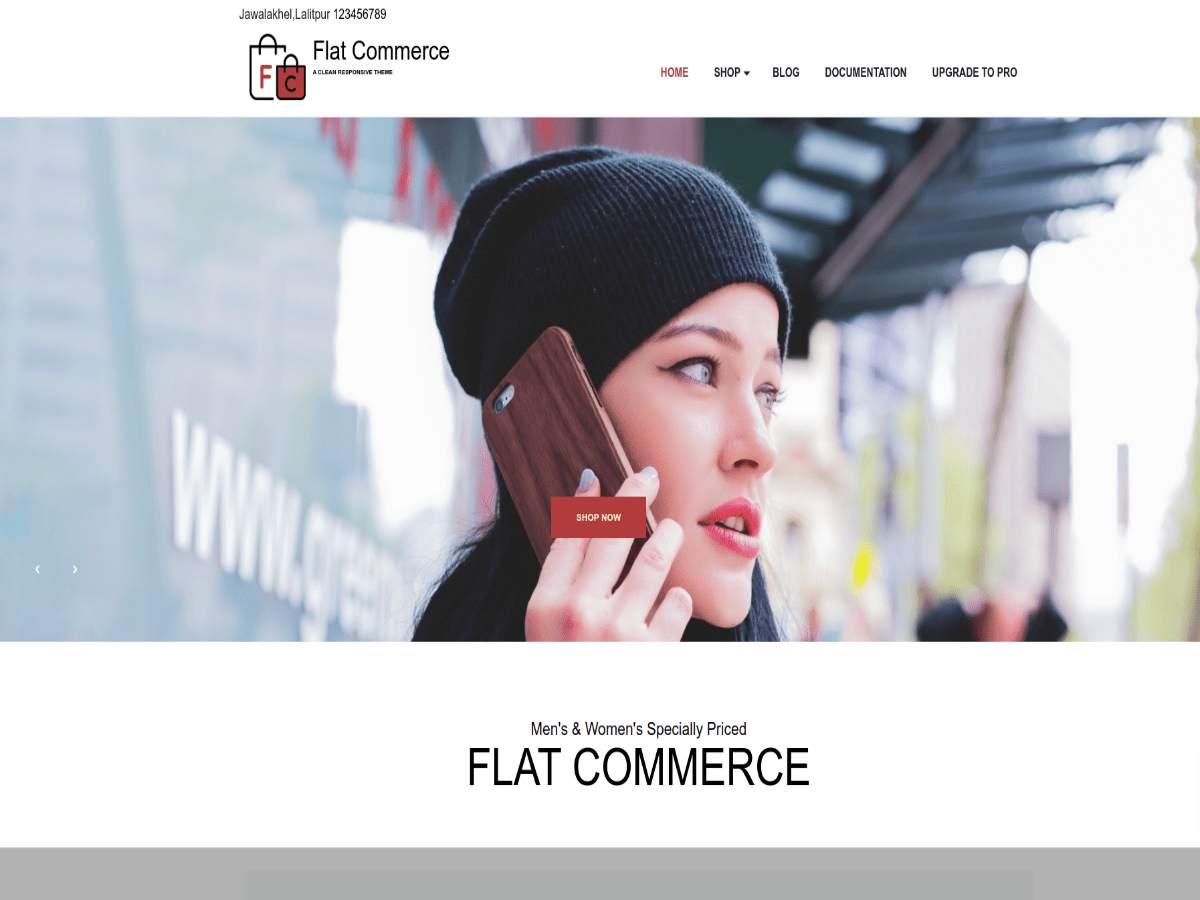 دانلود قالب های وردپرسی 6 Flat Commerce