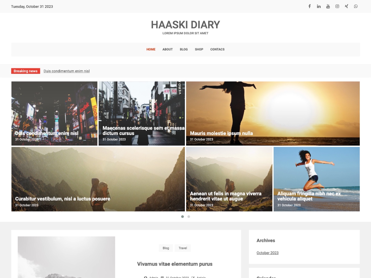 دانلود قالب های وردپرسی 13 Haaski Diary