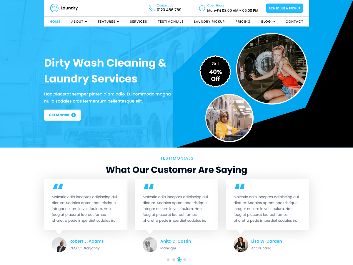 دانلود قالب های وردپرسی 7 Laundry Cleaner