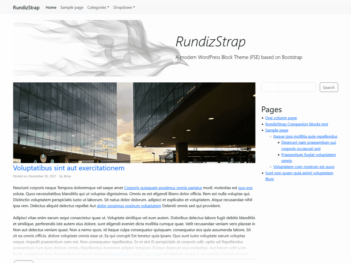 دانلود قالب های وردپرسی 4 RundizStrap