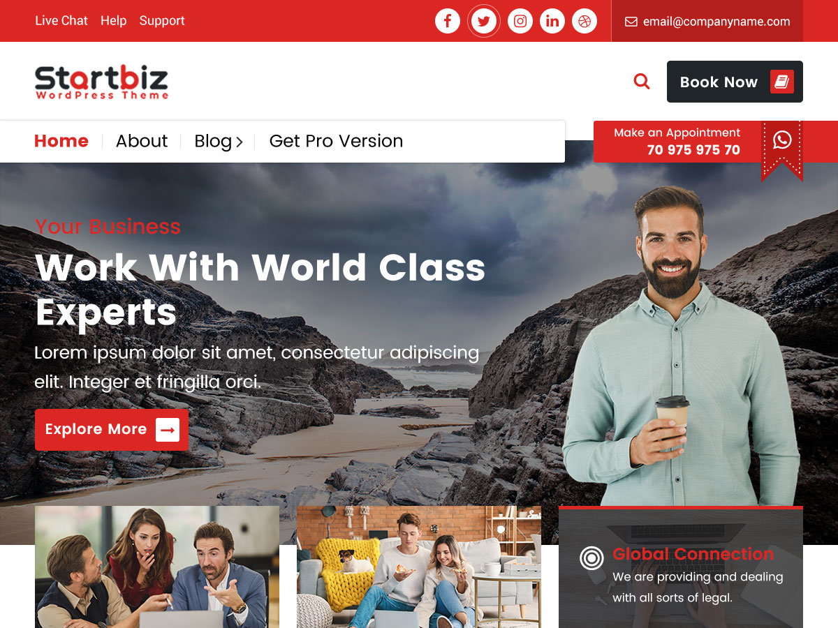 دانلود قالب های وردپرسی 2 StartBiz